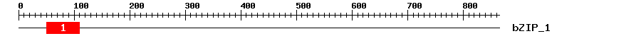 Signature Domain