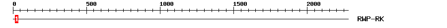 Signature Domain