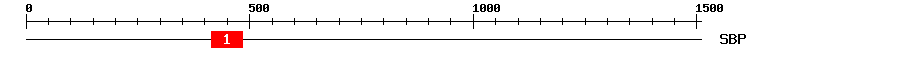 Signature Domain