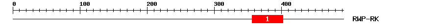 Signature Domain