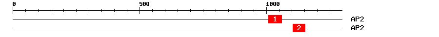 Signature Domain