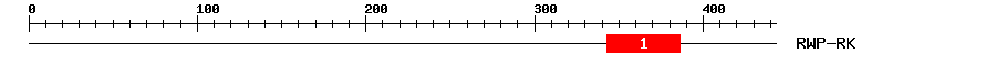 Signature Domain
