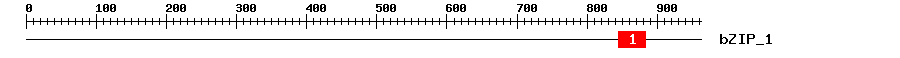 Signature Domain