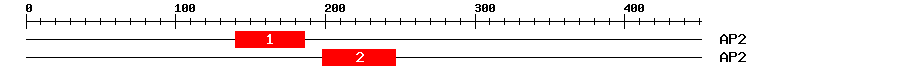 Signature Domain