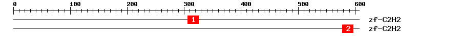 Signature Domain