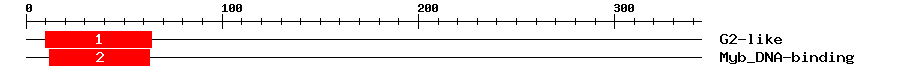Signature Domain