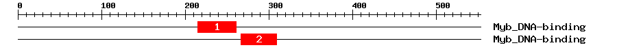Signature Domain