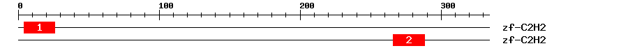 Signature Domain
