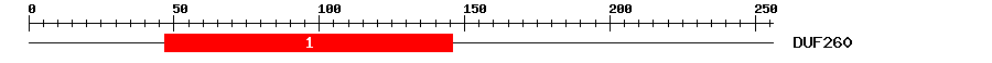 Signature Domain