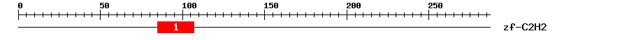 Signature Domain