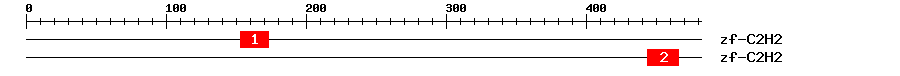 Signature Domain