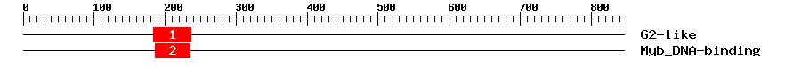 Signature Domain