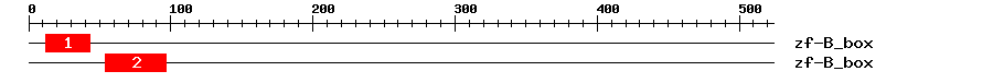 Signature Domain