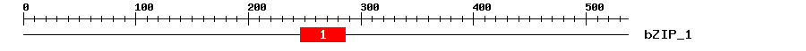 Signature Domain