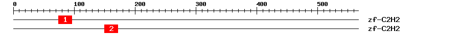 Signature Domain