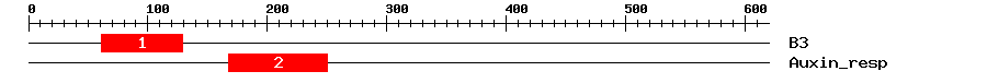 Signature Domain