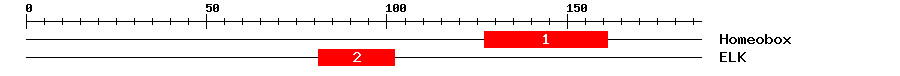 Signature Domain