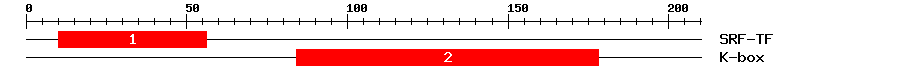 Signature Domain