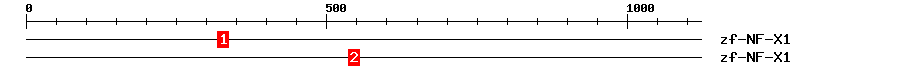 Signature Domain