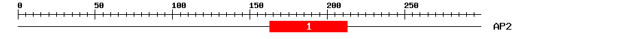 Signature Domain