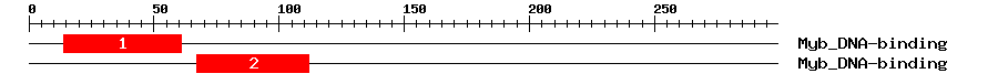 Signature Domain