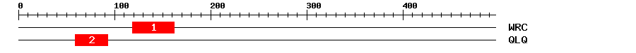 Signature Domain
