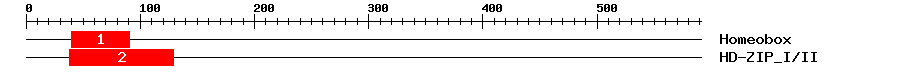 Signature Domain