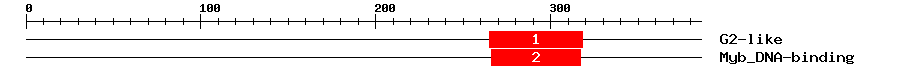 Signature Domain