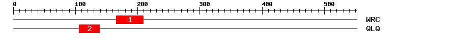 Signature Domain