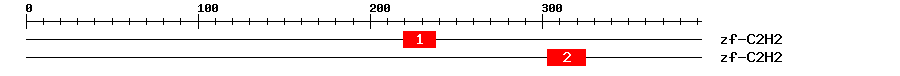 Signature Domain