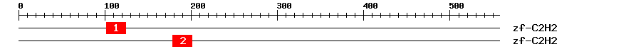 Signature Domain