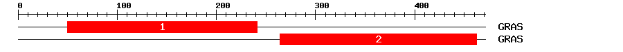 Signature Domain