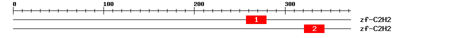 Signature Domain