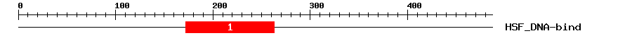 Signature Domain