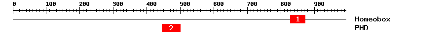 Signature Domain