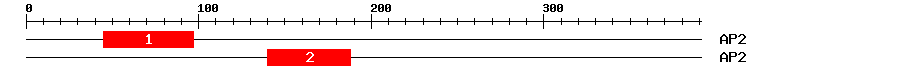 Signature Domain