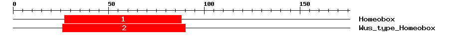 Signature Domain