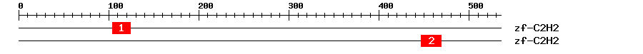 Signature Domain