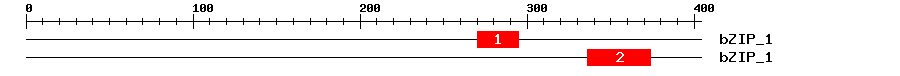 Signature Domain