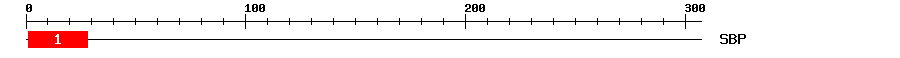 Signature Domain