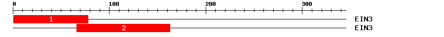 Signature Domain