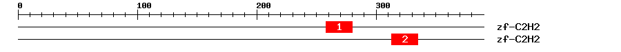 Signature Domain