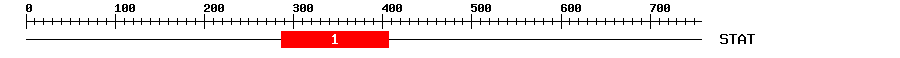 Signature Domain