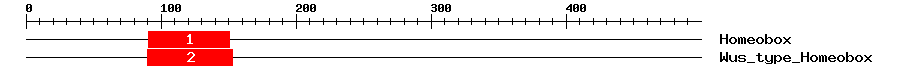 Signature Domain