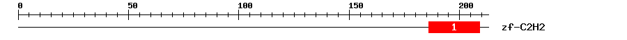 Signature Domain