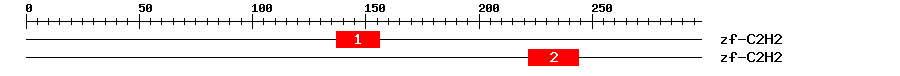Signature Domain