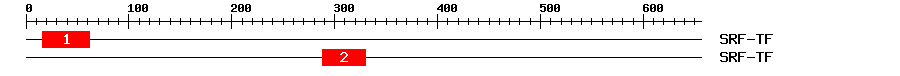 Signature Domain