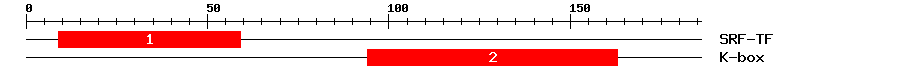 Signature Domain