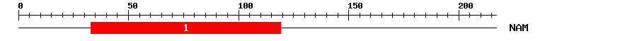 Signature Domain