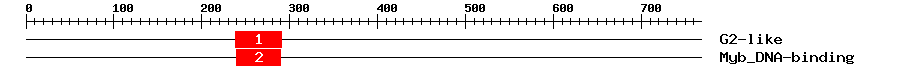 Signature Domain
